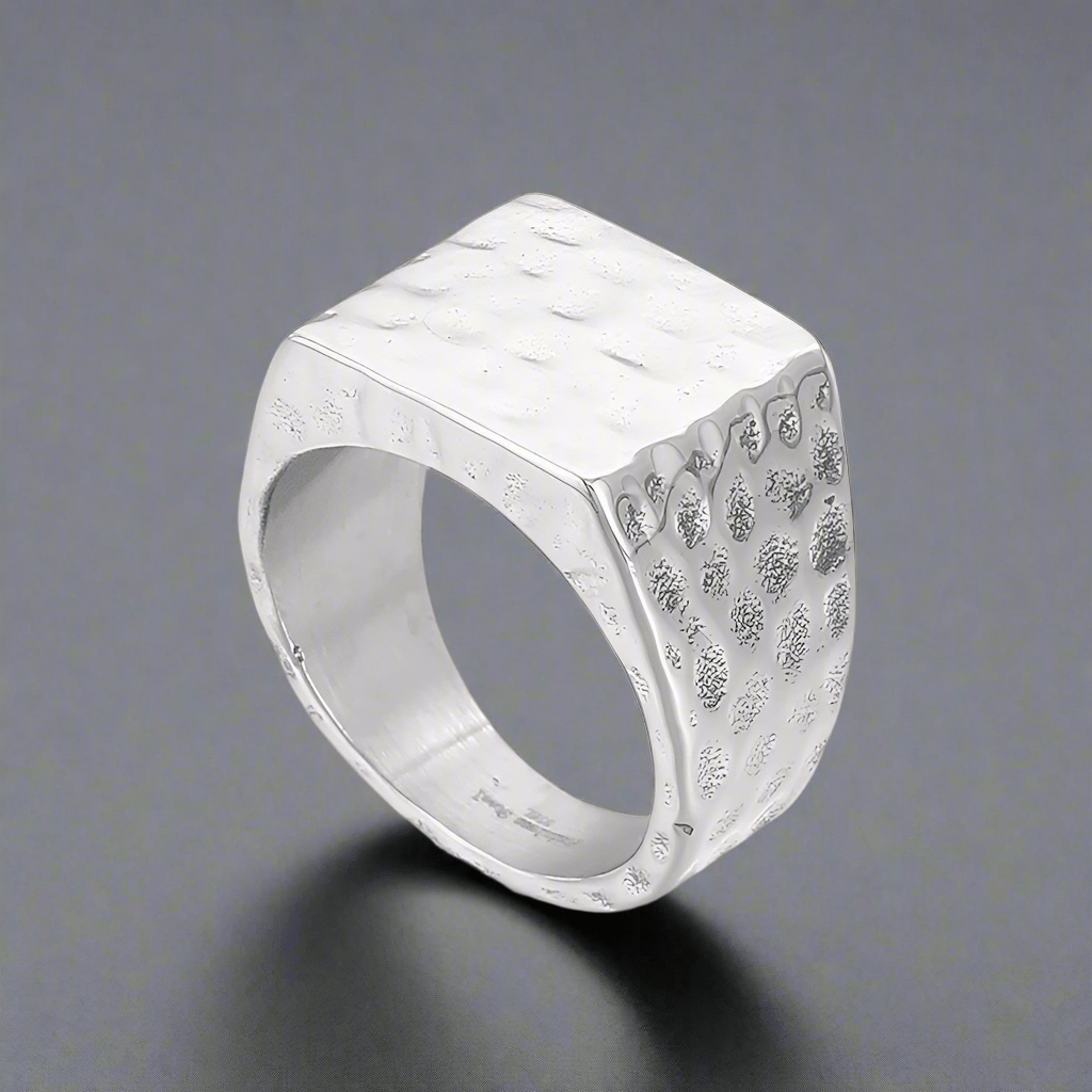 THE MEN THING Rings BATTLEBORN SILVER HAMMERED RING - Silver Steel Ring - Pure Titanium Steel Ring for Men Size - 21