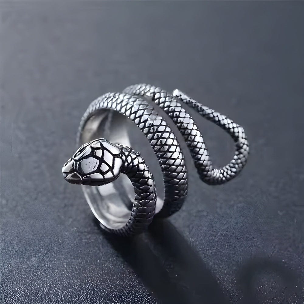 THE MEN THING Rings PYTHON - 10mm Pure Titanium Steel Ring for Men & Boys