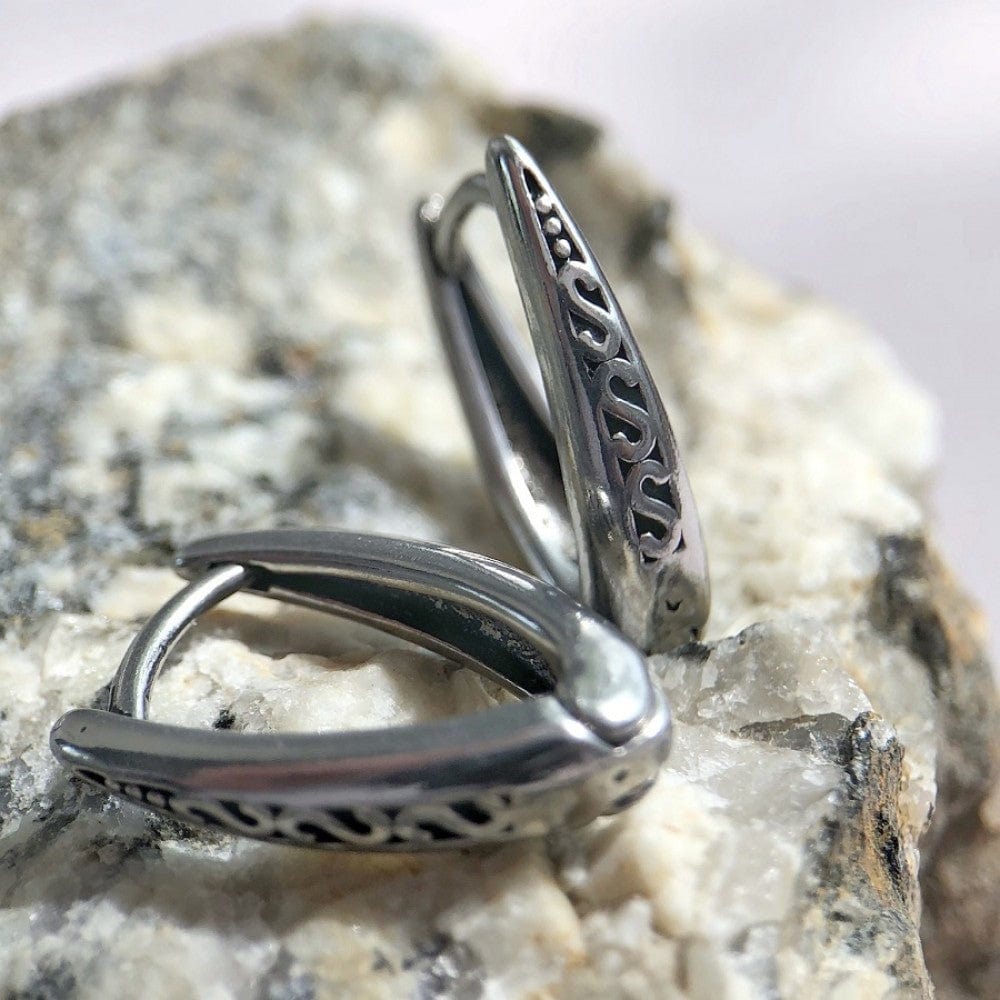 THE MEN THING Nose & Ear Ring Pair (Both Ears) EVOSTUDS SILVER - Titanium Steel Hoop Earrings for Men & Boys (2 Pcs)