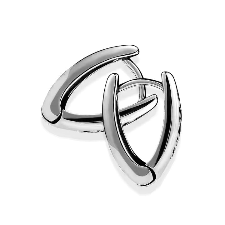 THE MEN THING Nose & Ear Ring Pair (Both Ears) EVOSTUDS SILVER - Titanium Steel Hoop Earrings for Men & Boys (2 Pcs)