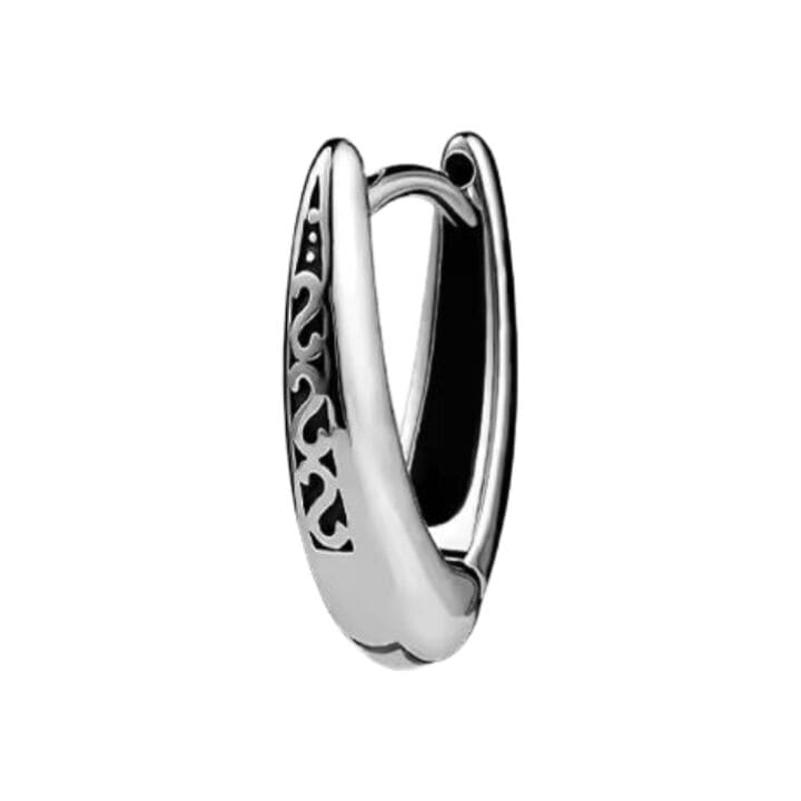 THE MEN THING Nose & Ear Ring Pair (Both Ears) EVOSTUDS SILVER - Titanium Steel Hoop Earrings for Men & Boys (2 Pcs)