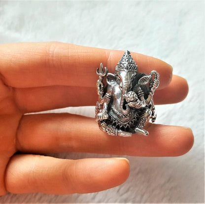 THE MEN THING Rings MYSTIC GANRAJ RING - Pure Stainless Steel Men’s Steel-Plated Ring – Statement Luxury Jewelry (Size : 18-21-24)